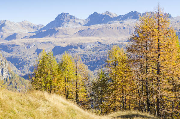 Devero landscape in autumn, Alpe Devero, Ossola, Piedmont, Italian alps, Italy