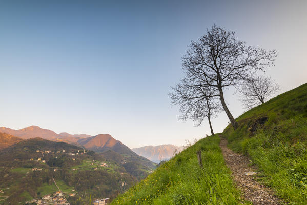 Sunrise on grassy slope, Val Brembana, Orobie alps, Italian alps, Province of Bergamo, Italy