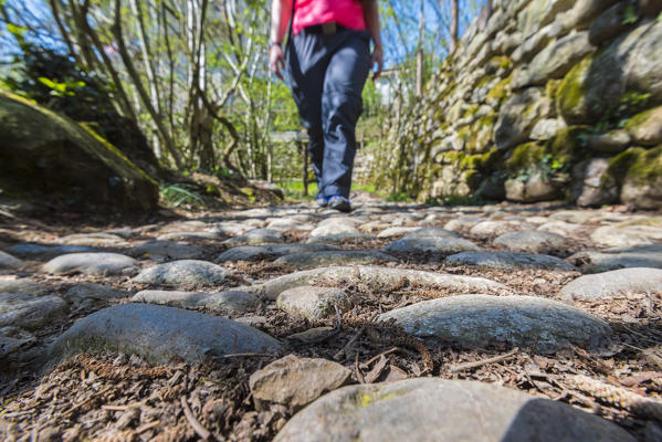Steps along Via Mercantorum, Val Brembana, Province of Bergamo, Orobie alps, Italian alps, Italy