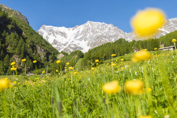 Monte Rosa seen from Alpe Burki, Valle Anzasca, Ossola, Pennine Alps, Italian alps, Italy