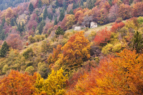 Magasa, Valvestino, Lombardy, Italy. A chalet into the Valvestino's woods in autumn