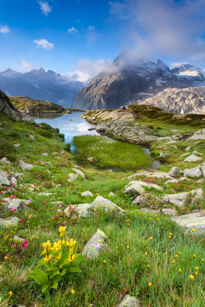Val Genova, Adamello-Brenta natural park, Trentino-Alto Adige, Italy. The Three Lobbie mountains and Pope Johannes Paul II peak views from the Mandron refuge