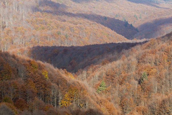 Cansiglio forest, Veneto, Italy. View of Cansiglio forest from the top of Pizzoc mountain