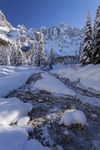 Venegia valley, Paneveggio-Pale of San Martino natural park, Trentino Alto Adige, Italy.