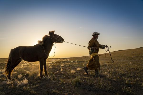 Mongolian shepherd wearing traditional dress in steppe of Gobi desert with his hourse, Mongolia, Mongolian, Asia, Asian.