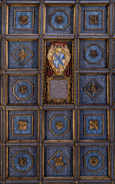Detail of ceiling of Basilica of Sant'Apollinare Nuovo. Ravenna, Emilia romagna, Italy, Europe.