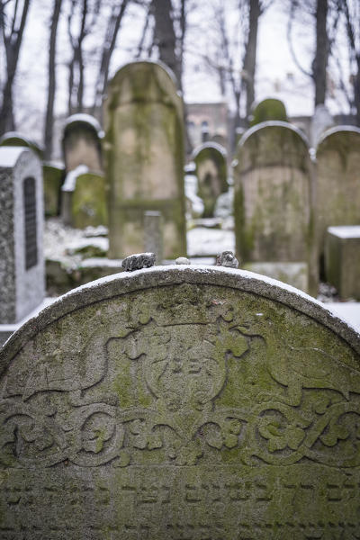 Krakow, Poland, North East Europe. Tombstones detail in new Jewish cemetery.