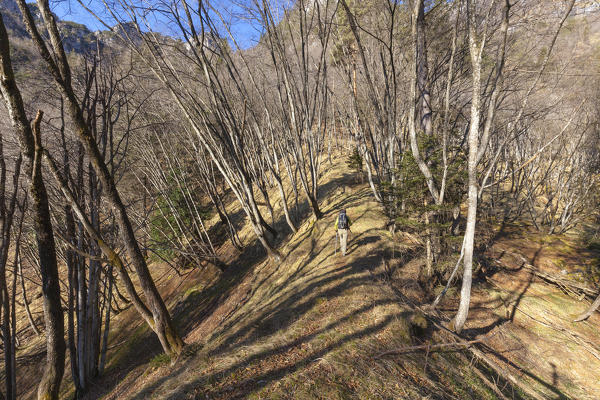 Hiker along the trail in the woods at the 