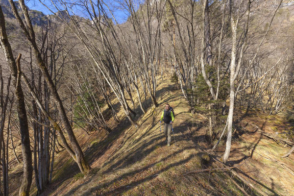 Hiker along the trail in the woods at the 