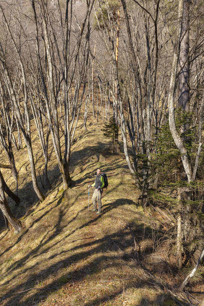 Hiker along the trail in the woods at the 