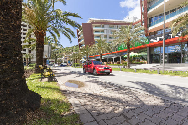 A street in Budva, between palm trees and palaces, Montenegro