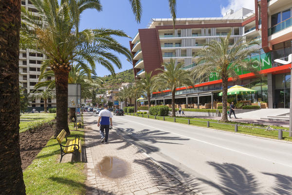 A street in Budva, between palm trees and palaces, Montenegro