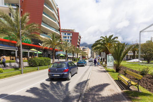 A street in Budva, between palm trees and palaces, Montenegro
