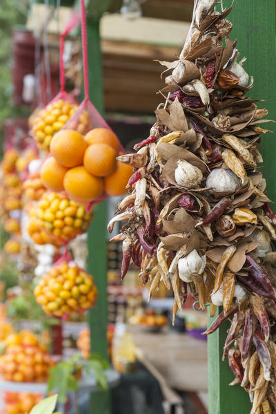 Garlic and hot pepper braided on sale in the roadside fruit and vegetable stand near Komin, Croatia.
