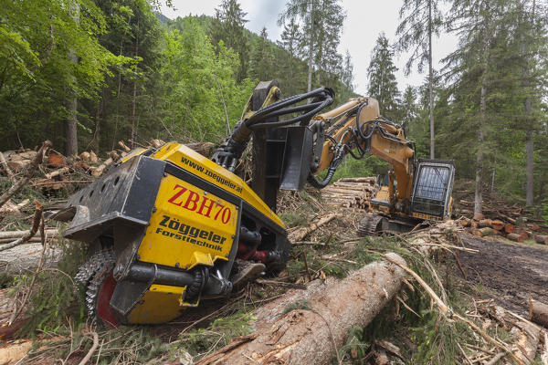 Excavator in the wood used in the processing of timber. Dolomites, Veneto, Italy