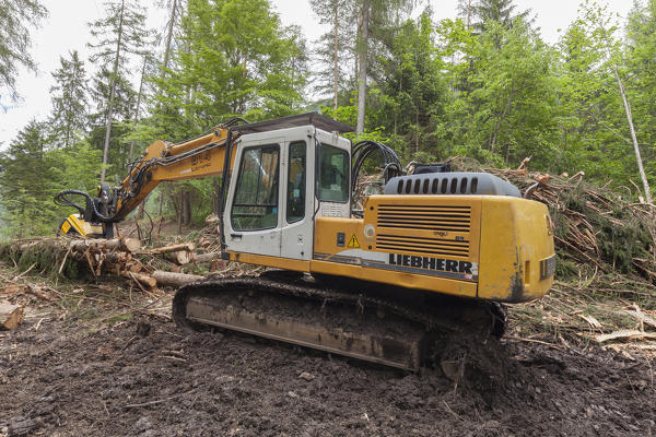 Excavator in the wood used in the processing of timber. Dolomites, Veneto, Italy