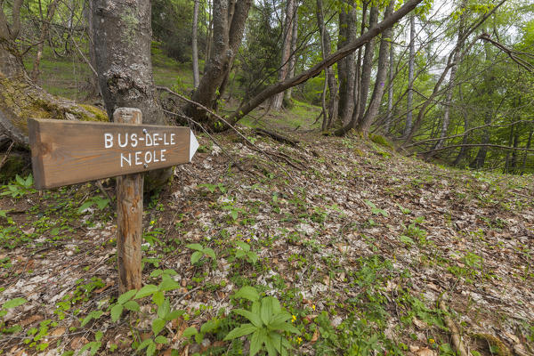 Wooden table with the direction to the Bus de le Neole, Dolomitipark, Belluno, Dolomites