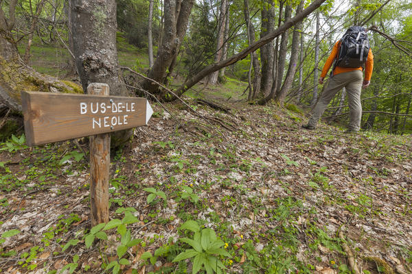 Europe, Italy, Veneto, Belluno. Hiker with backpack along the path towards the Bus de le Neole, Monti del Sole, Dolomites