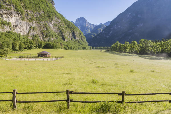 Salet, Center of Equestrian Selection, Sedico, Veneto. The pastures of the forestry center, in the background Mount Coro