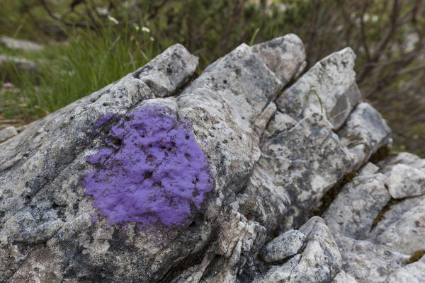 europe, North Italy, Veneto, Belluno, Monti del Sole, Dolomites. Trail sign marking with the color of the Belluno Dolomites National Park