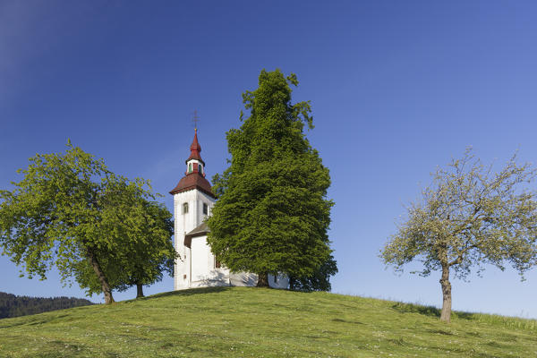 Europe, Slovenia. Church of St. Thomas / Sveti Tomaž in the municipality of Skofja Loka