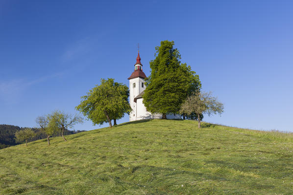 Europe, Slovenia. Church of St. Thomas / Sveti Tomaž in the municipality of Skofja Loka