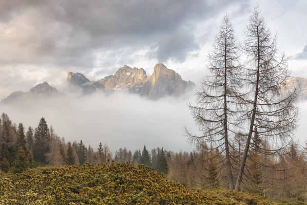 Europe, Italy, Veneto, Belluno, Agordino, Poetic landscape in the woods, in the background the Civetta mount in the clouds, Dolomites