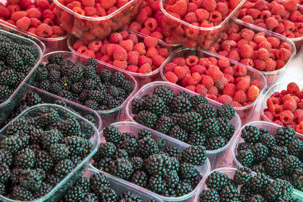Blackberries and raspberries on sale at the open-air market of Split, Dalmatia, Croatia
