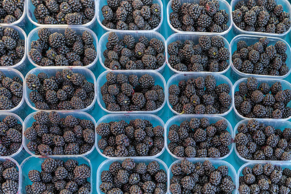 blackberries on sale at the open-air market of Spalato, Dalmatia, Croatia