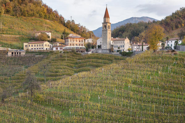 Rolle surrounded by Prosecco vineyards, Cison di Valmarino, Treviso, Veneto, Italy