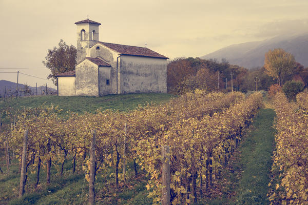 countryside church among vineyards, Cison di Valmarino, Treviso, Veneto, Italy