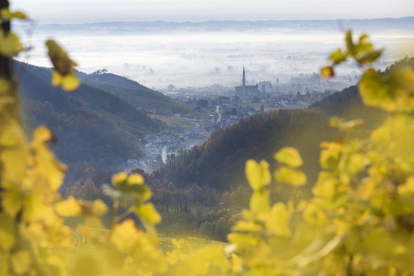 the village of Col San Martino (Farra di Soligo) framed by the yellow leaves of the vineyards, as seen from the road of wine, Valdobbiadene, Treviso, Veneto, Italy