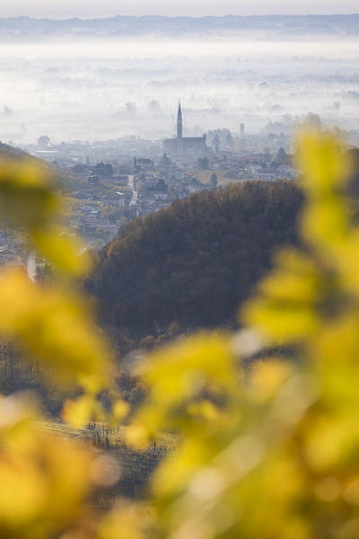 the village of Col San Martino (Farra di Soligo) framed by the yellow leaves of the vineyards, as seen from the road of wine, Valdobbiadene, Treviso, Veneto, Italy