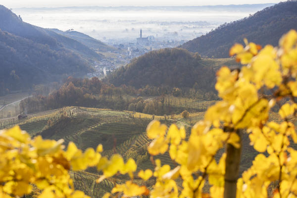 the village of Col San Martino (Farra di Soligo) framed by the yellow leaves of the vineyards, as seen from the road of wine, Valdobbiadene, Treviso, Veneto, Italy