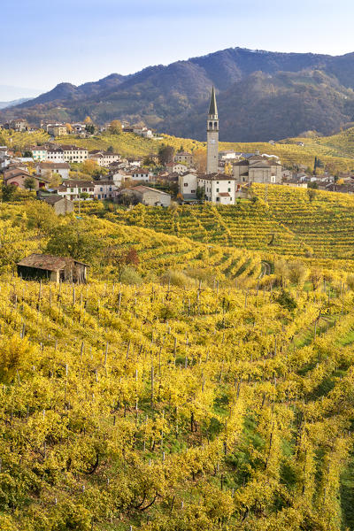 the village of Guia surrounded by the yellow vineyards in autumn, as seen from the road of wine, Valdobbiadene, Treviso, Veneto, Italy