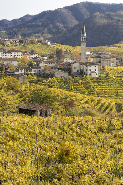the village of Guia surrounded by the yellow vineyards in autumn, as seen from the road of wine, Valdobbiadene, Treviso, Veneto, Italy