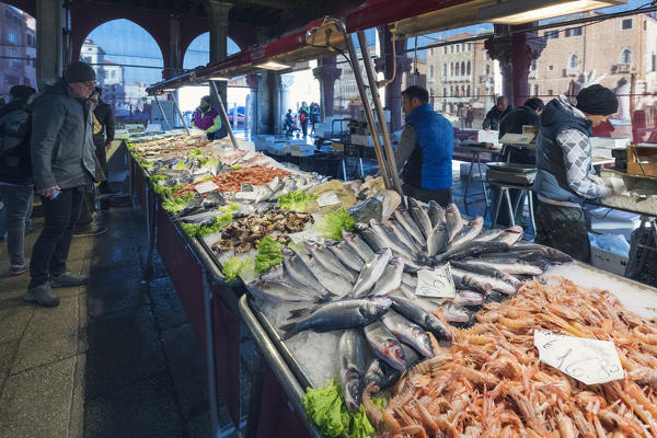 The fish market near Rialto, Venice, Veneto Italy