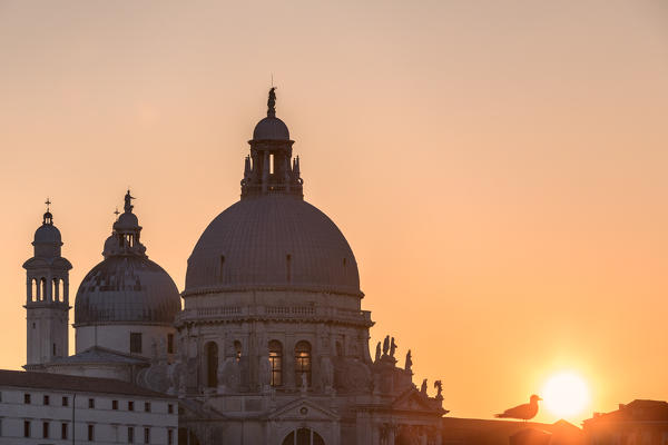 Basilica di Santa Maria della Salute, Saint Mary of Health at sunset, Punta della Dogana, Venice, Veneto, Italy