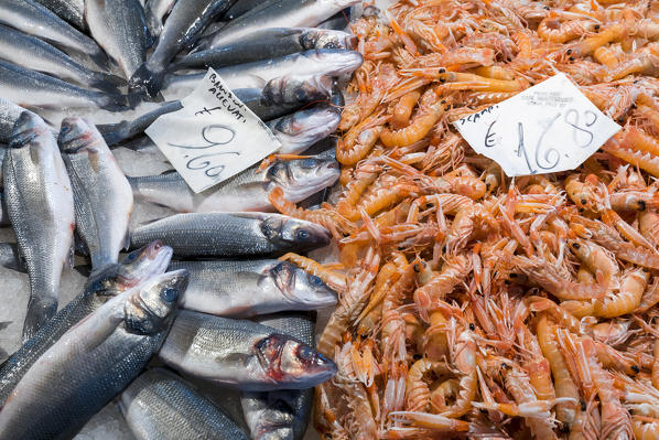 Fish on sale at fish market near Rialto, Venice, Veneto Italy
