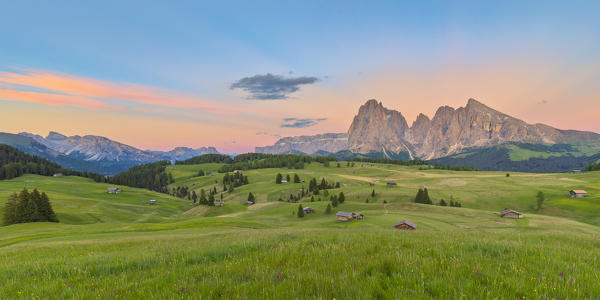 Alpine landscape of the Seiser Alm/Alpe di Siusi with with the Sella, Sassolungo/Langkofel and the Sassopiatto/Plattkofel in the background, Dolomites, South Tyrol, Italy