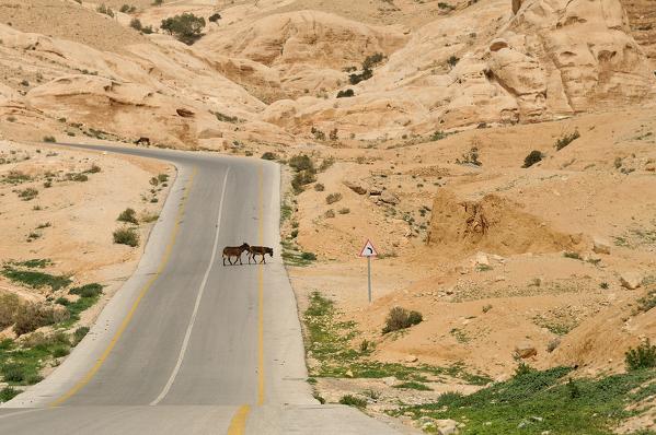 Petra, Ma'an, Jordan, Middle East