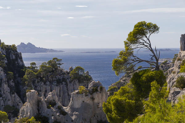 Marseille, Cassis, Provence, France, Europe. Landscapes of the Calanques 