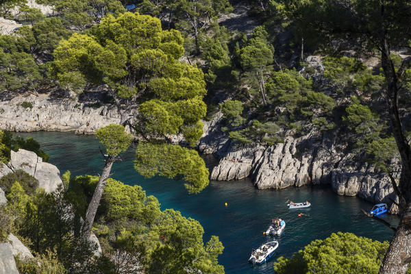 Marseille, Cassis, Provence, France, Europe. Landscapes of the Calanques,Calanque de Port-Pin 