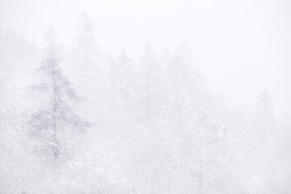 Orsiera Rocciavre Park, Chisone Valley, Piedmont, Italy. Snowfall autumn