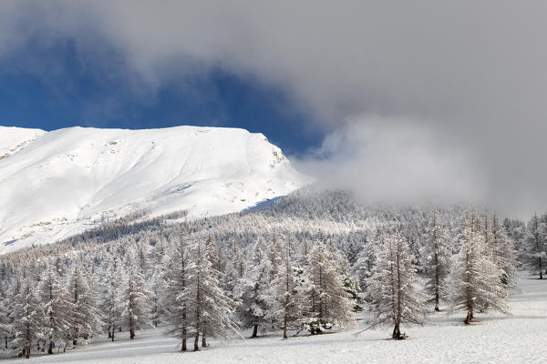 Orsiera Rocciavre Park, Chisone Valley,Turin, Piedmont, Italy. Winter Orsiera Rocciavre Park
