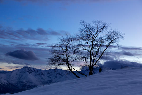 Pellice Valley,Turin,Piedmont, Italy. blue hour