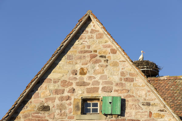 Strasbourg, Alsace, France. Storks nest