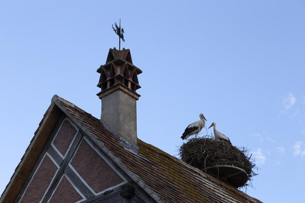 Strasbourg, Alsace, France. Storks nest