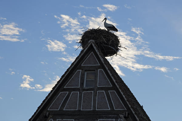Strasbourg, Alsace, France. Storks nest