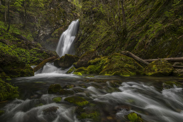Pesio valley (Valle Pesio),Cuneo province,Marguareis park,Piedmont, Italy,Europe. Gias Fontana waterfall 